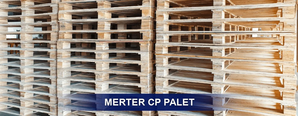 Merter Standart Tipler