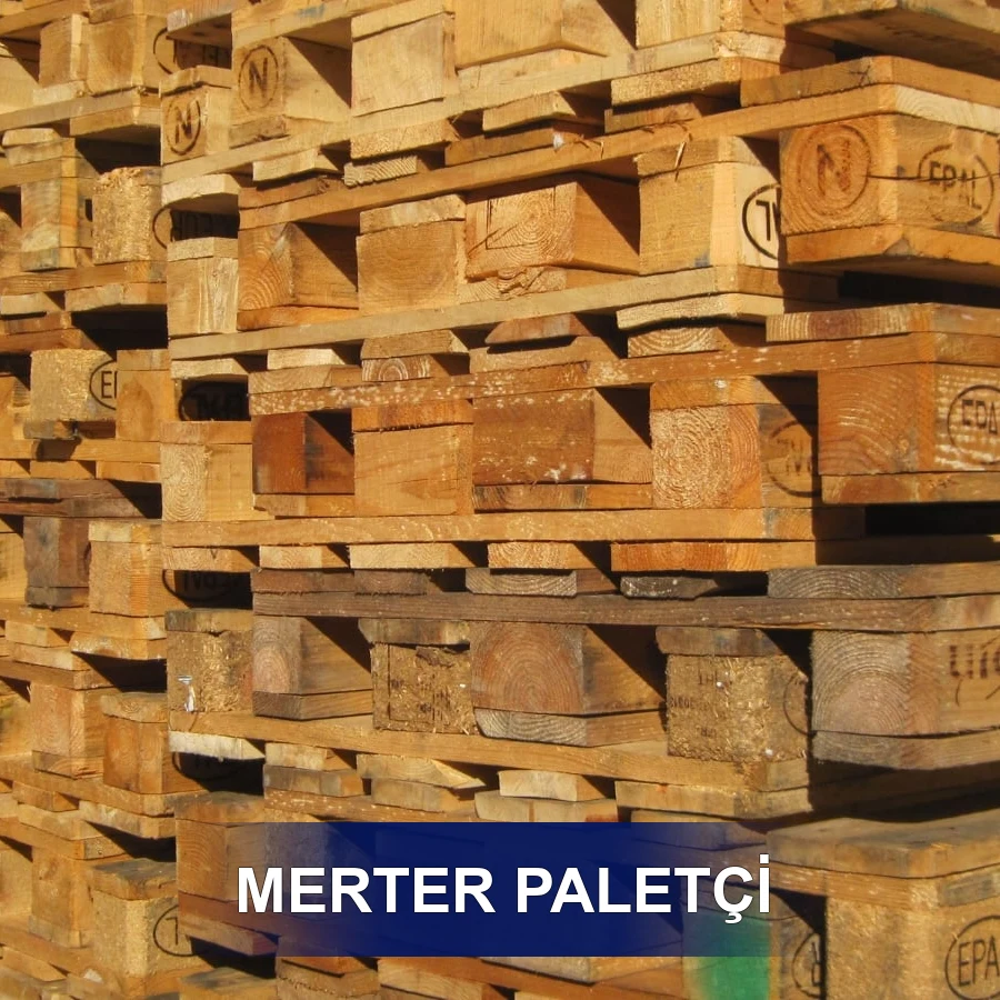 Merter Paletçi